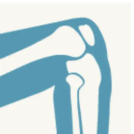 Dynamic Knee Anatomy Читы