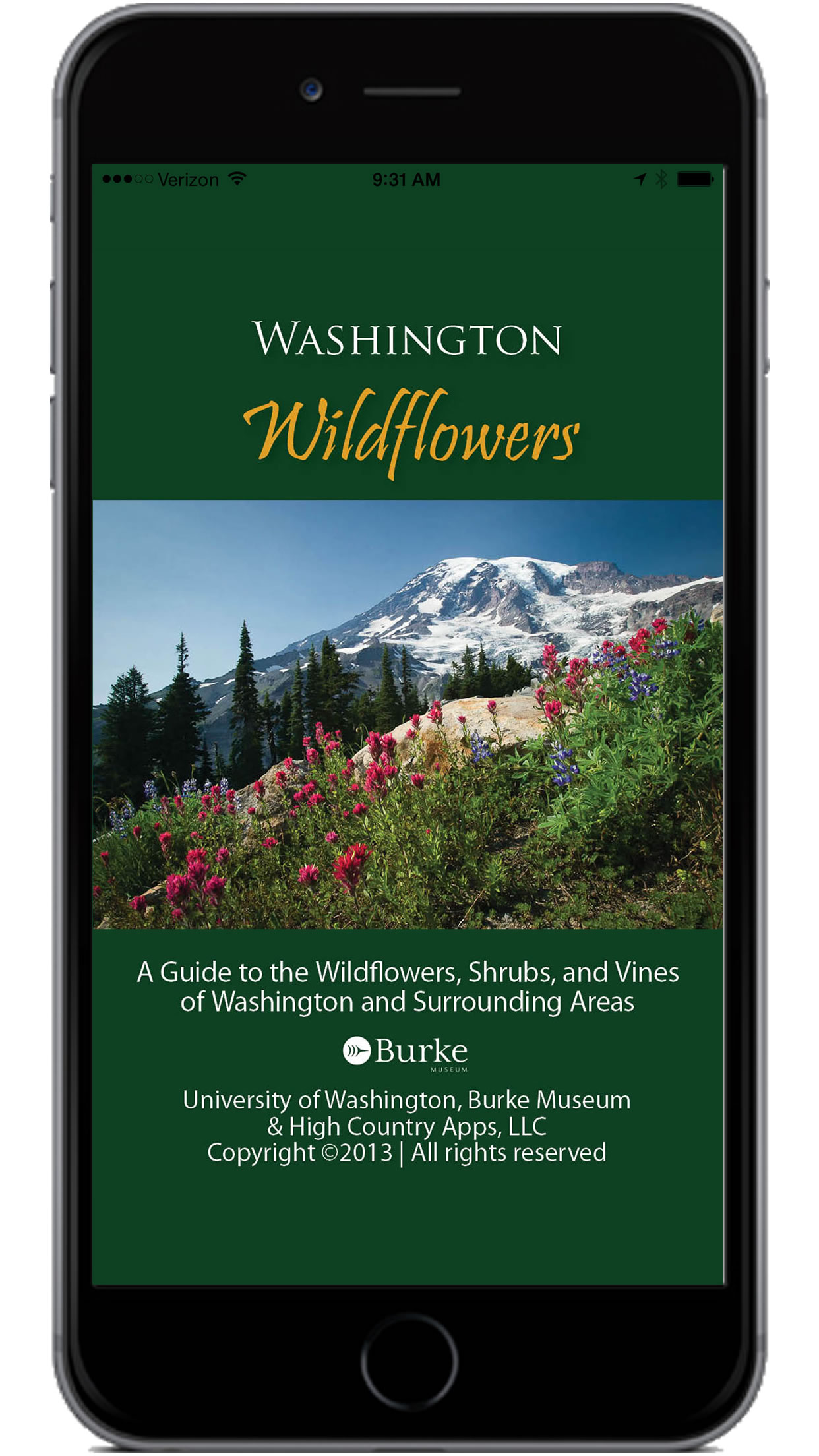 Washington Wildflowers