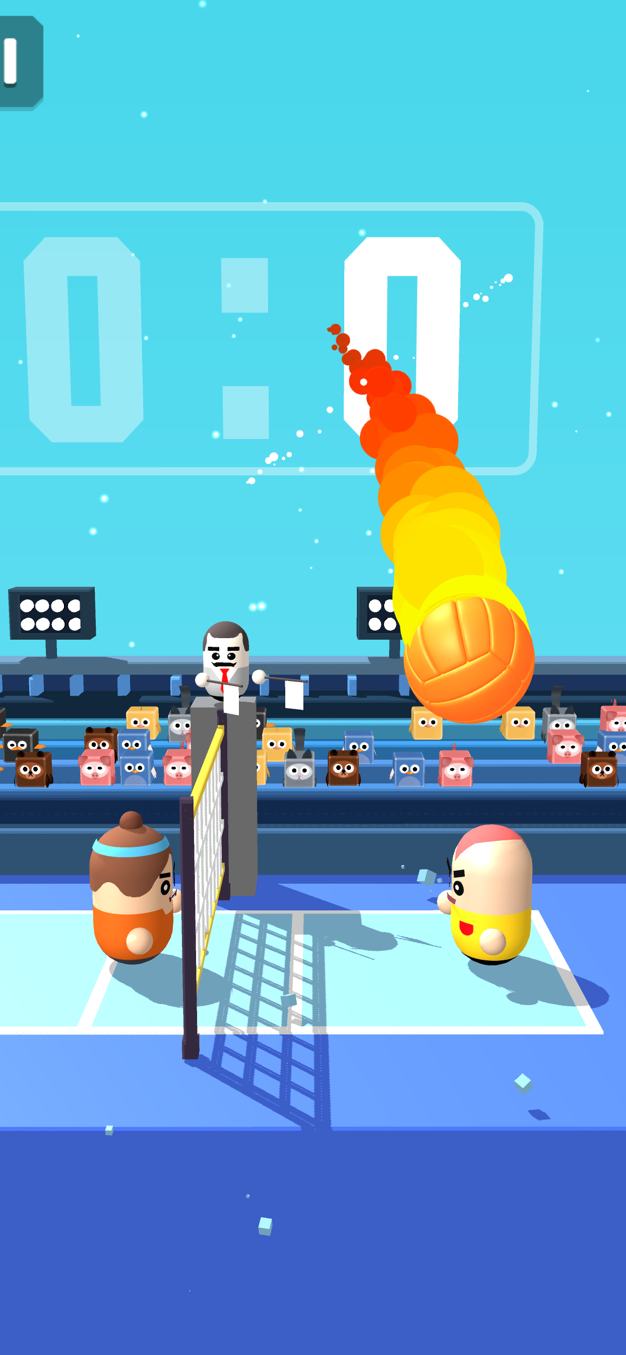 Play Volleyball 2020