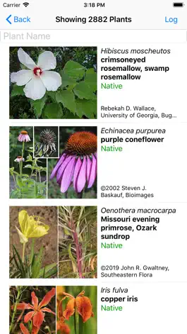 Game screenshot Missouri Wildflowers apk