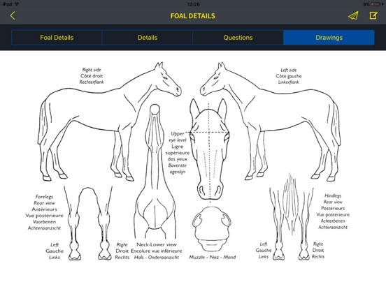 Screenshot #5 pour Zangersheide Horse ID equicty