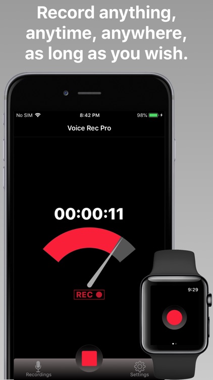 Voice Rec Pro