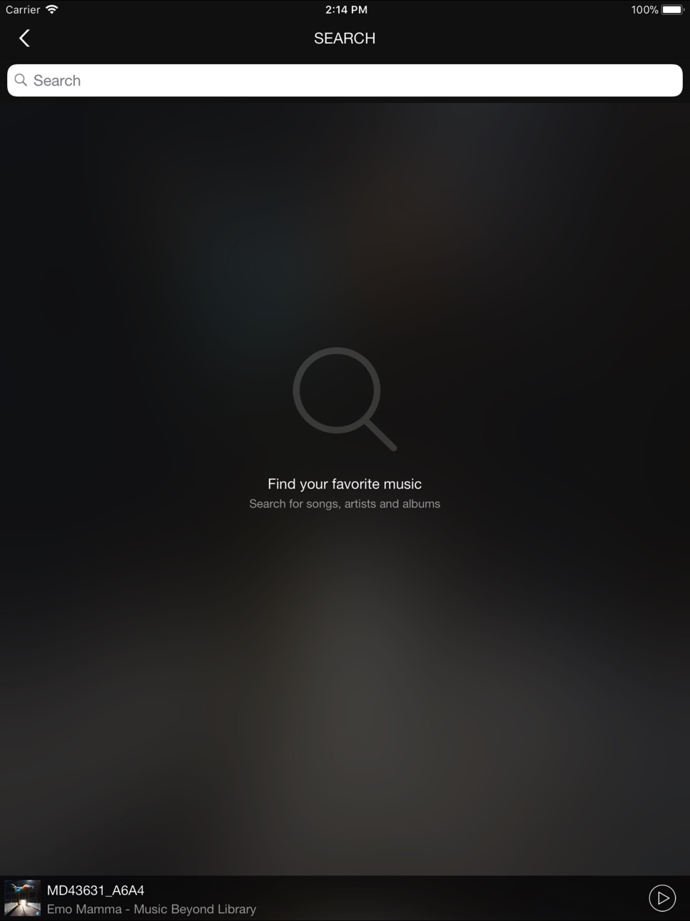 iPad screenshot