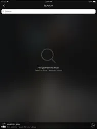 N-Play Smart Audio ipad bilder 1