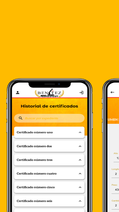 Benítez Group Screenshot