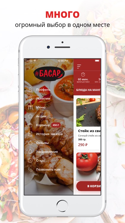 Басар | Бердск