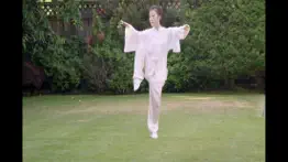 tai chi for beginners 48 form iphone images 3