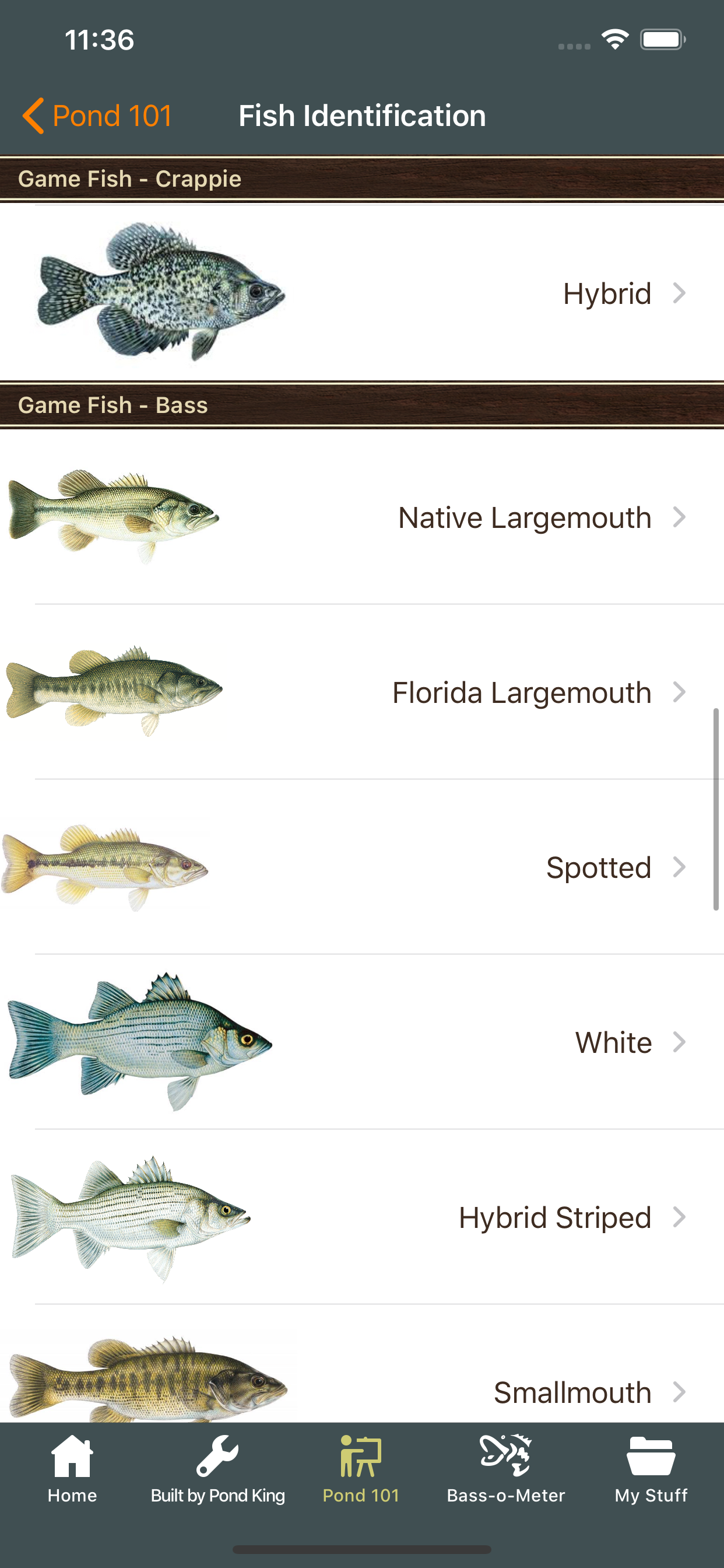 Pond King App
