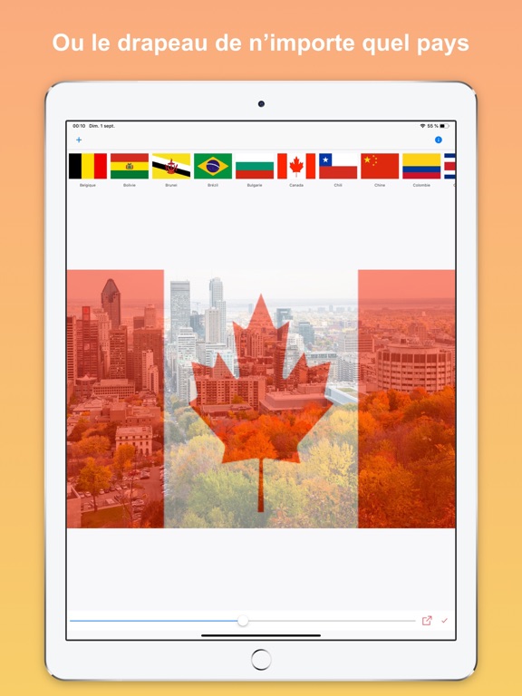 Screenshot #5 pour Country Flag Lite