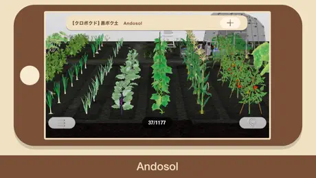 “SOIL“