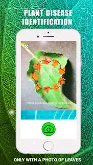 plants disease identification iphone screenshot 2