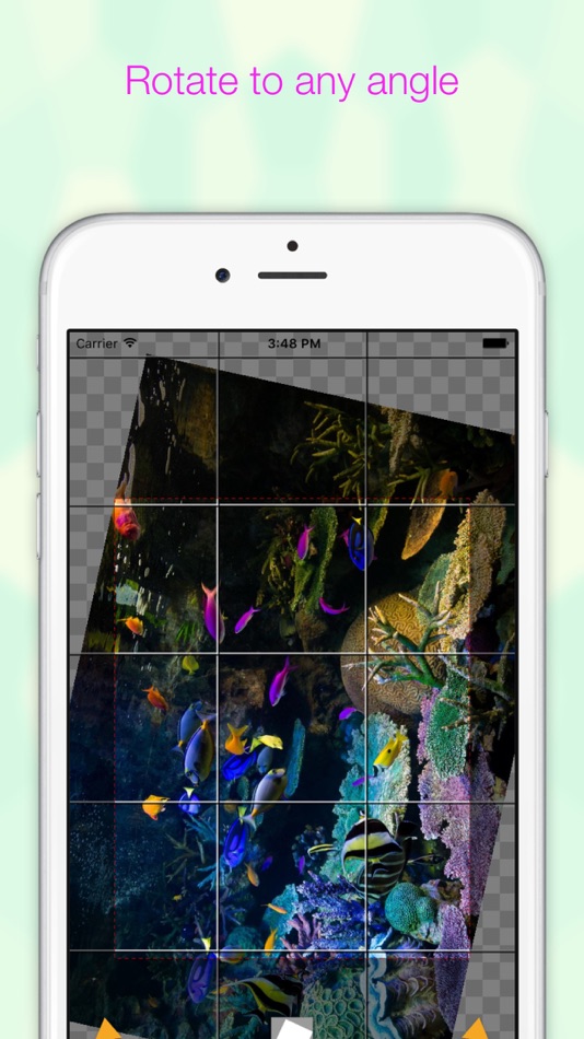 #3. EverClipper Plus (iOS) 由: Koichi Otera