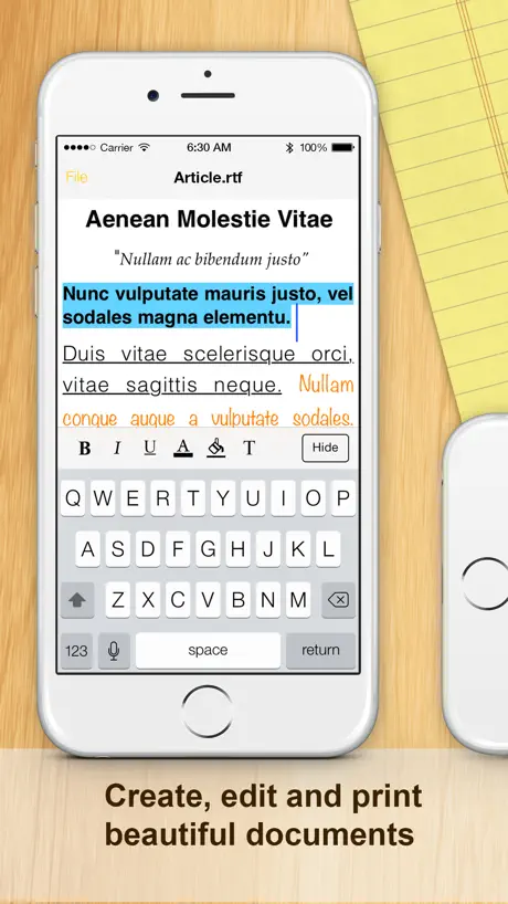 Documents (Office Docs)