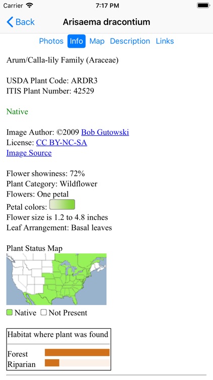 New York Wildflowers screenshot-3