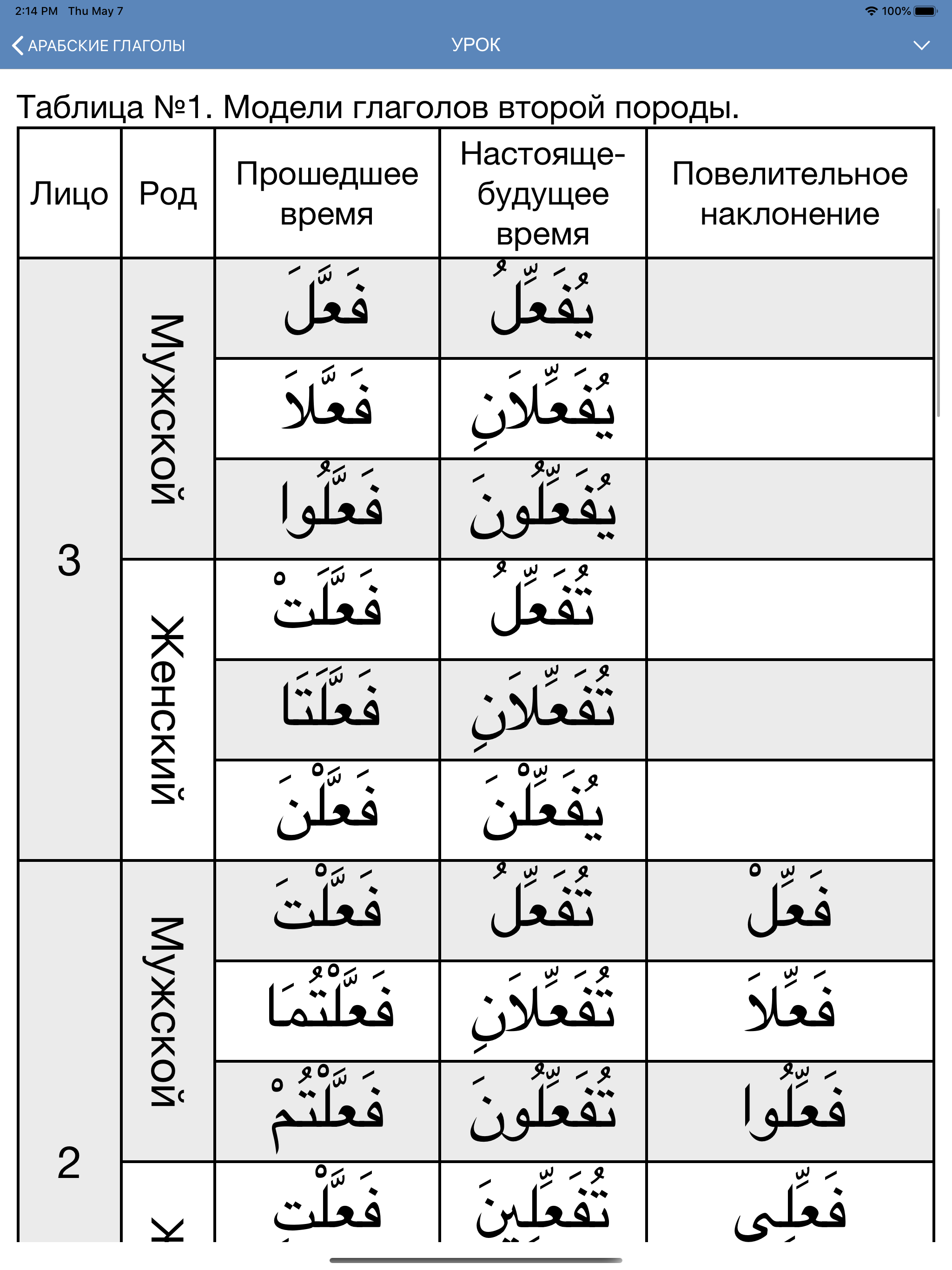 Арабские глаголы screenshot 17