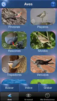 Cantos de Aves Id iphone bilder 2