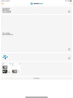 Mobile Report - PDF Report screenshot 7