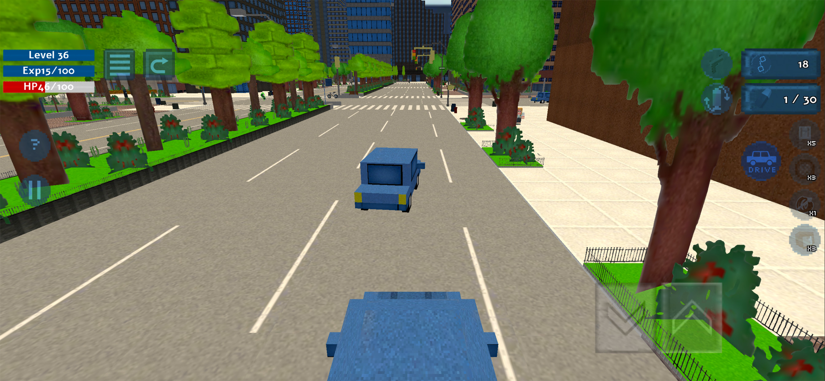 Police Block City