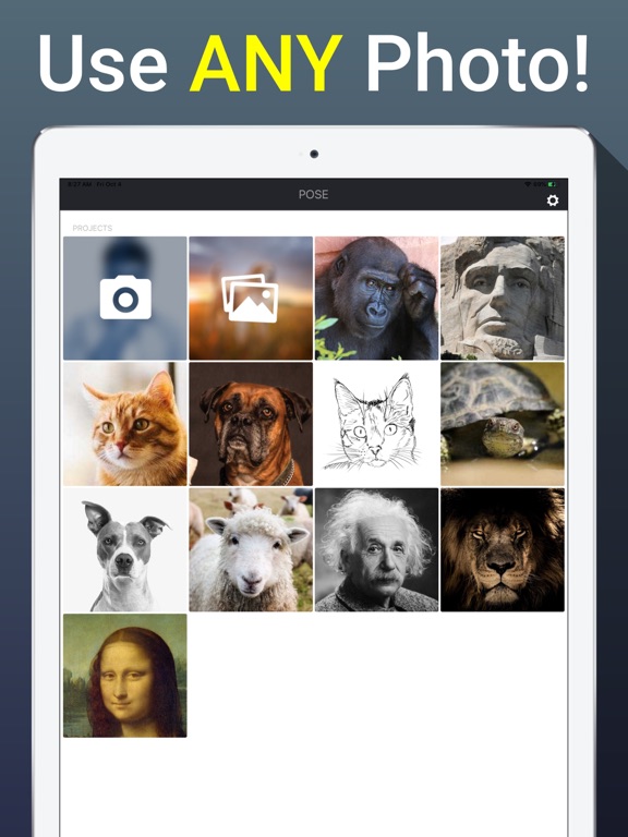 POSE: Talking Pictures iPad screenshot 5 - Entertainment app