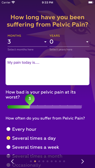Pelvic Pain Chronicles Screenshot