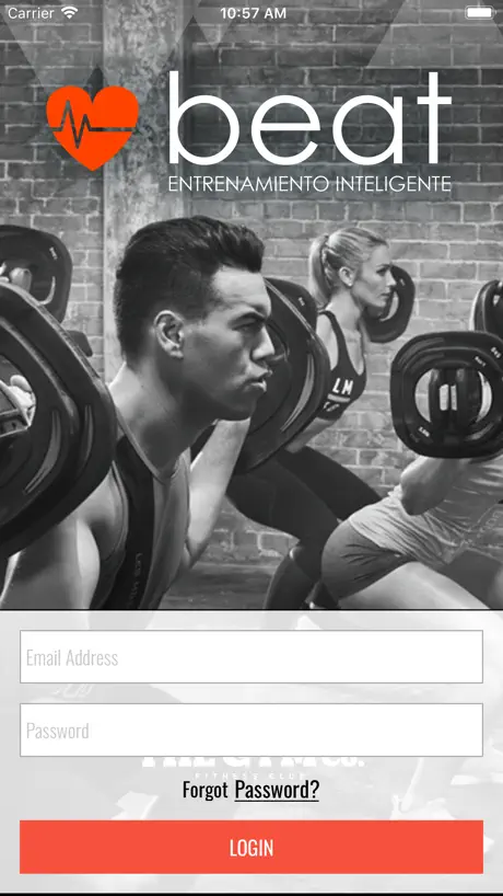 The Gym Co.