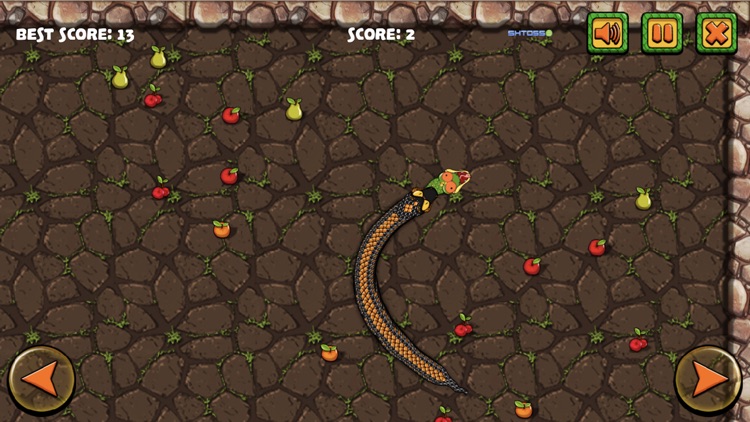 Snake-Attack screenshot-3