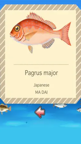 Game screenshot Fishing Game by Penguin + hack