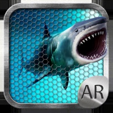 Activities of Shark Attack AR