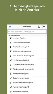sibley guide to hummingbirds iphone screenshot 1