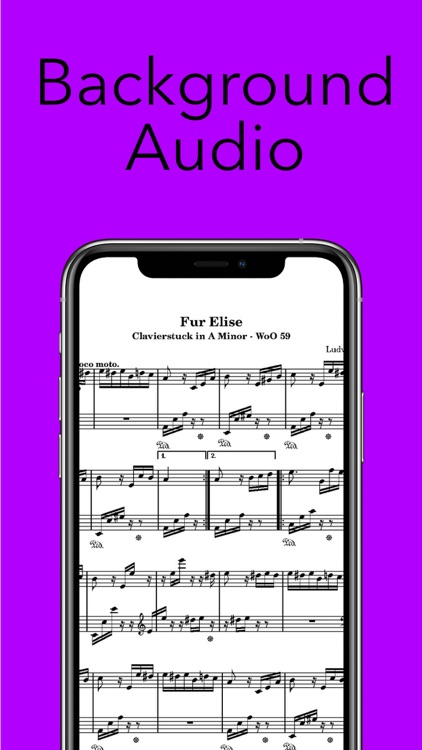 Flash Metro Lite screenshot-5