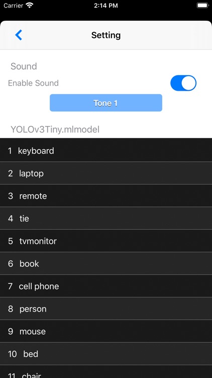 Object Detection Cam screenshot-4