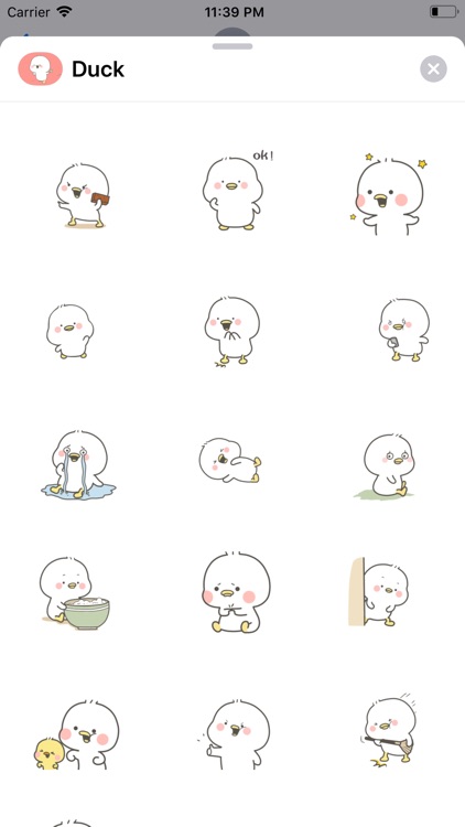 Lovely Duck Animated Stickers