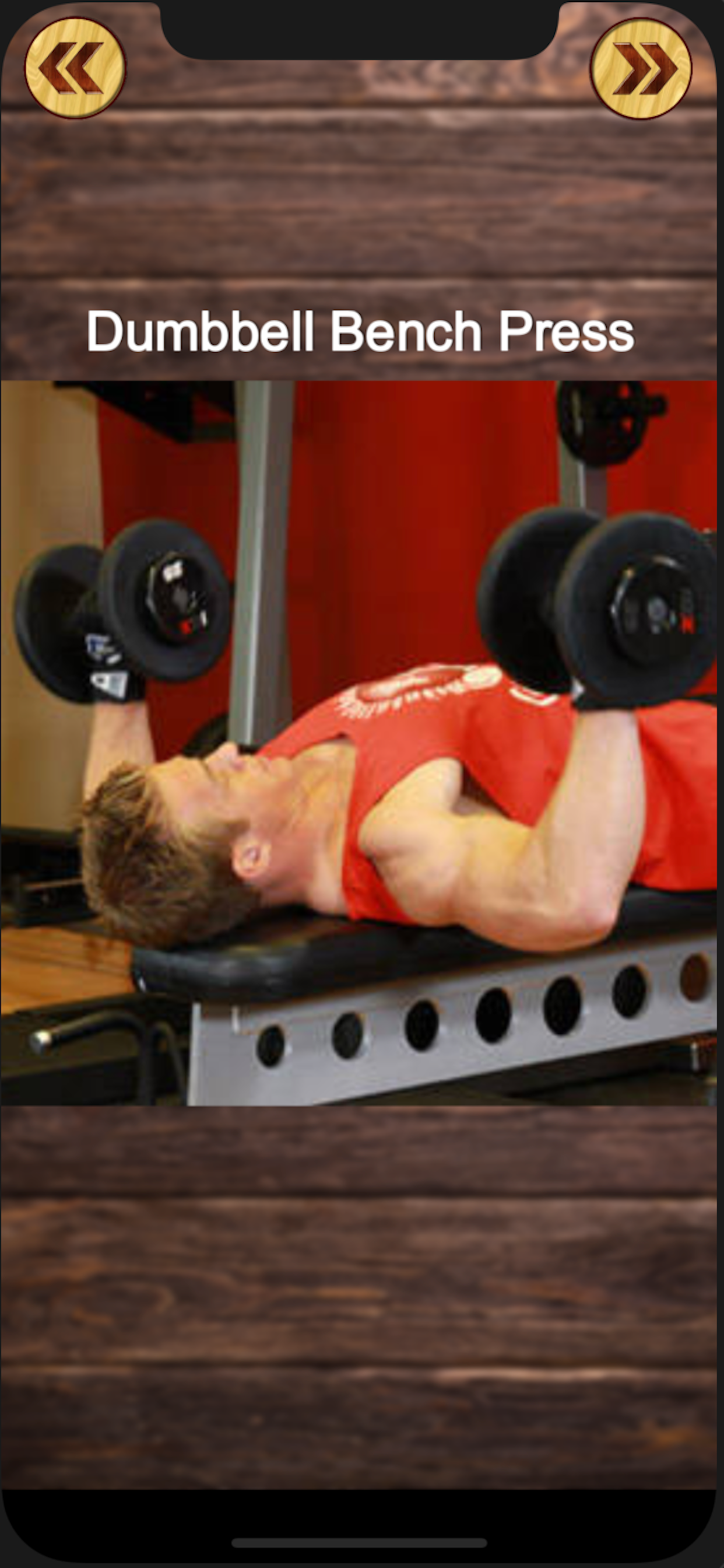 Workout Schedule And Diet Plan