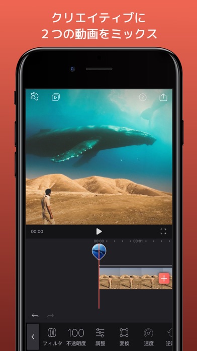 Enlight Videoleap