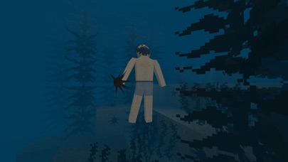 screenshot of Survivalcraft 2 8