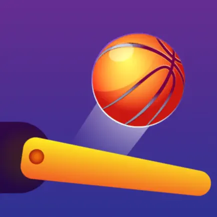 Super Flipper Dunk Читы