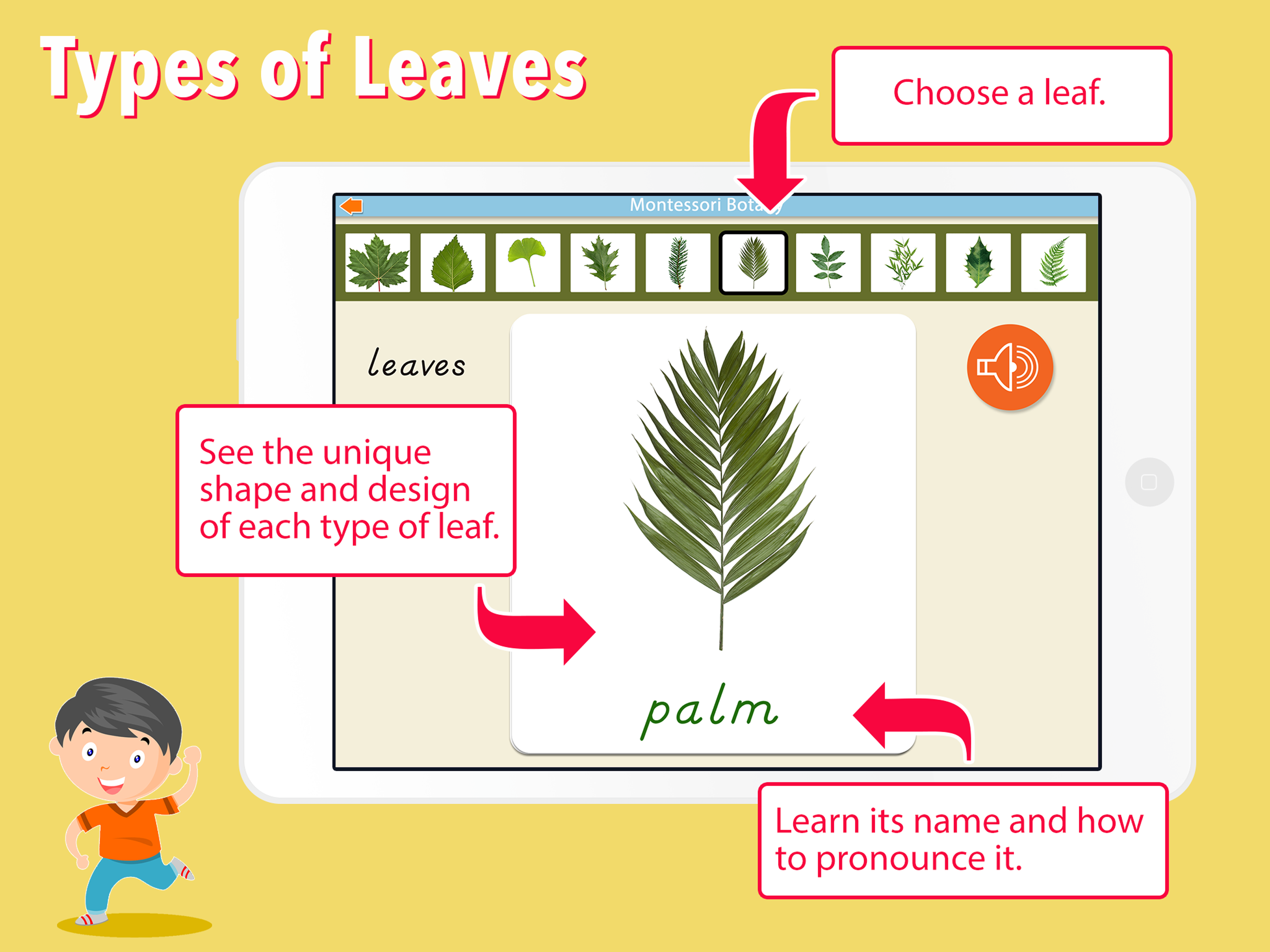 Learn Botany - Parts of Plants screenshot 13