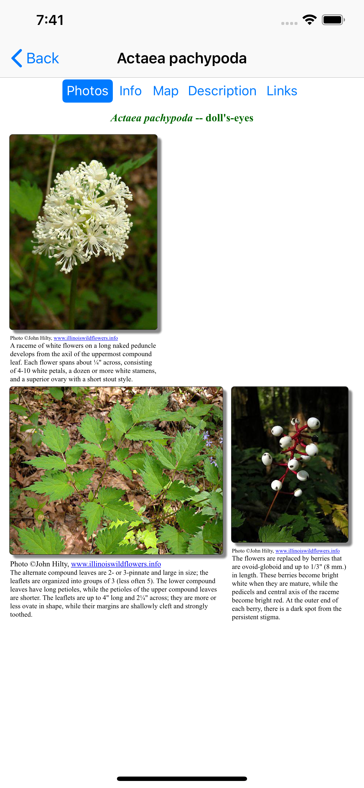 Ontario Wildflowers
