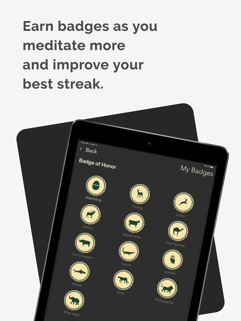 iPad screenshot