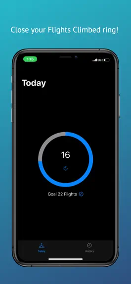 Game screenshot Flight Master apk