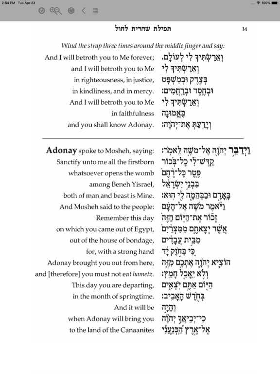 Hebr-Eng Siddur Keter Shelomo iPad screenshot 3 - Book app