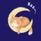 Icon Calming Music for Cats Calmly