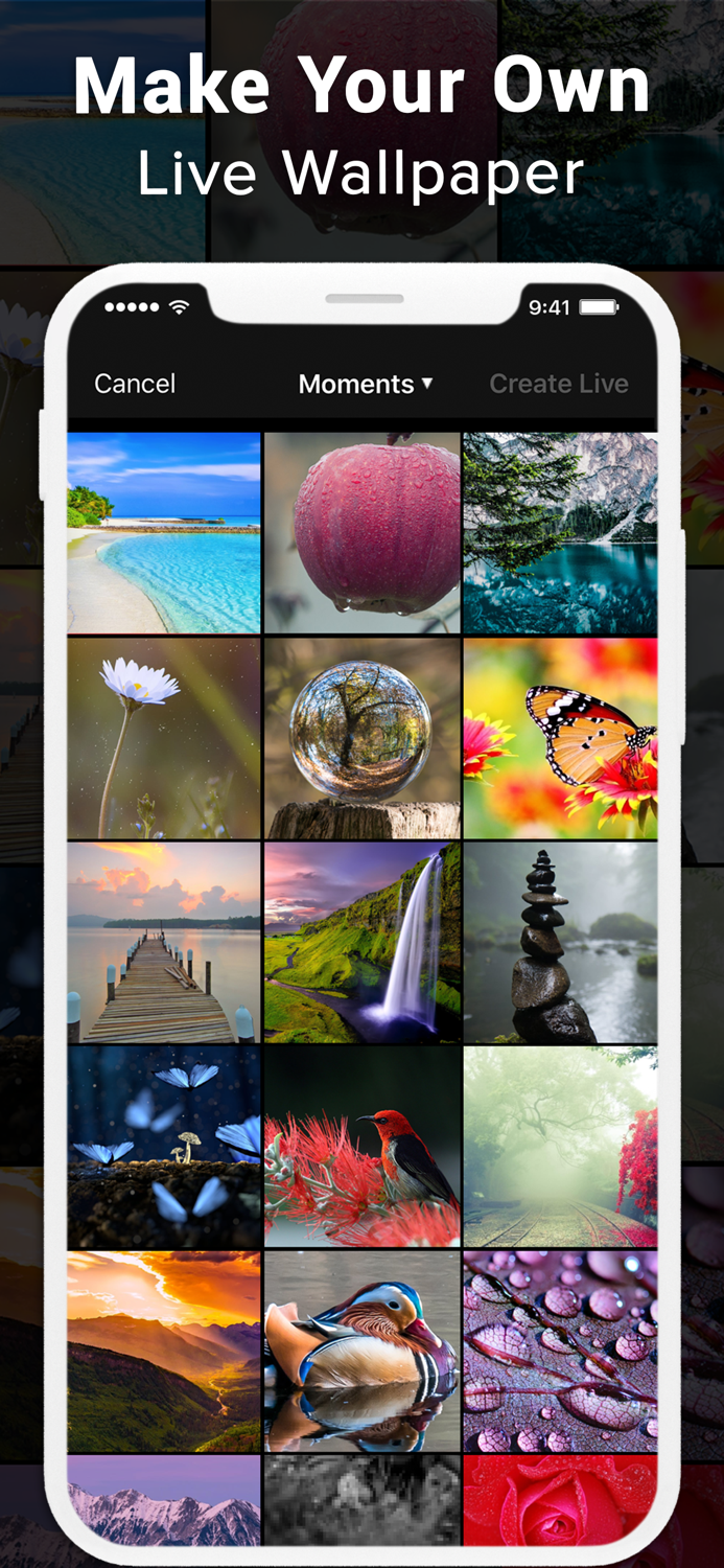 Live Wallpaper 4K ‼