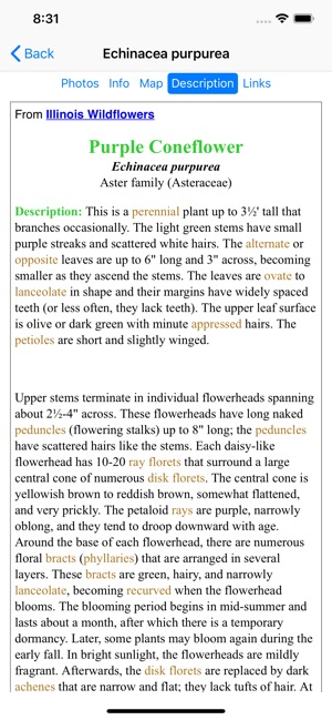 Iowa Wildflowers(圖6)-速報App