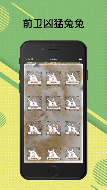 前卫凶猛兔兔