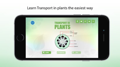 Transport in Plants Biology Screenshot