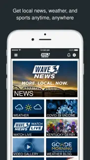 wave local news iphone screenshot 1