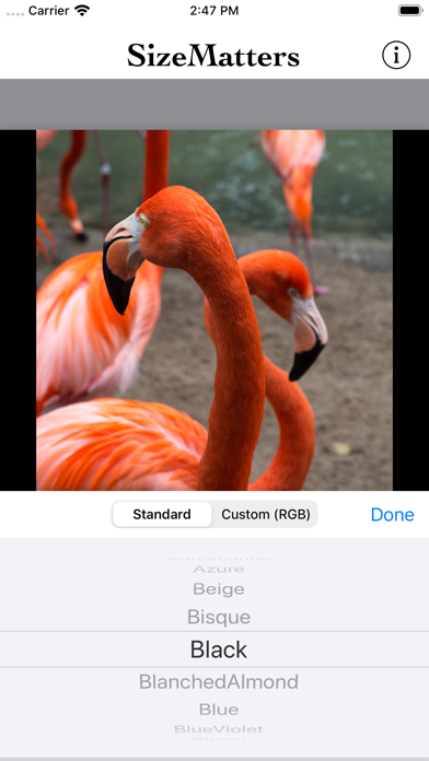 Screenshot #3 pour SizeMatters - No Crop Resizing