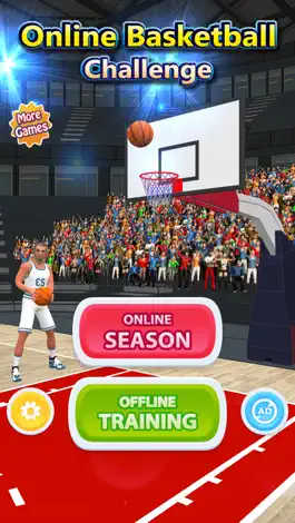 Game screenshot Online Basketball Challenge 3D apk