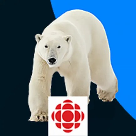 Discover the Arctic Cheats